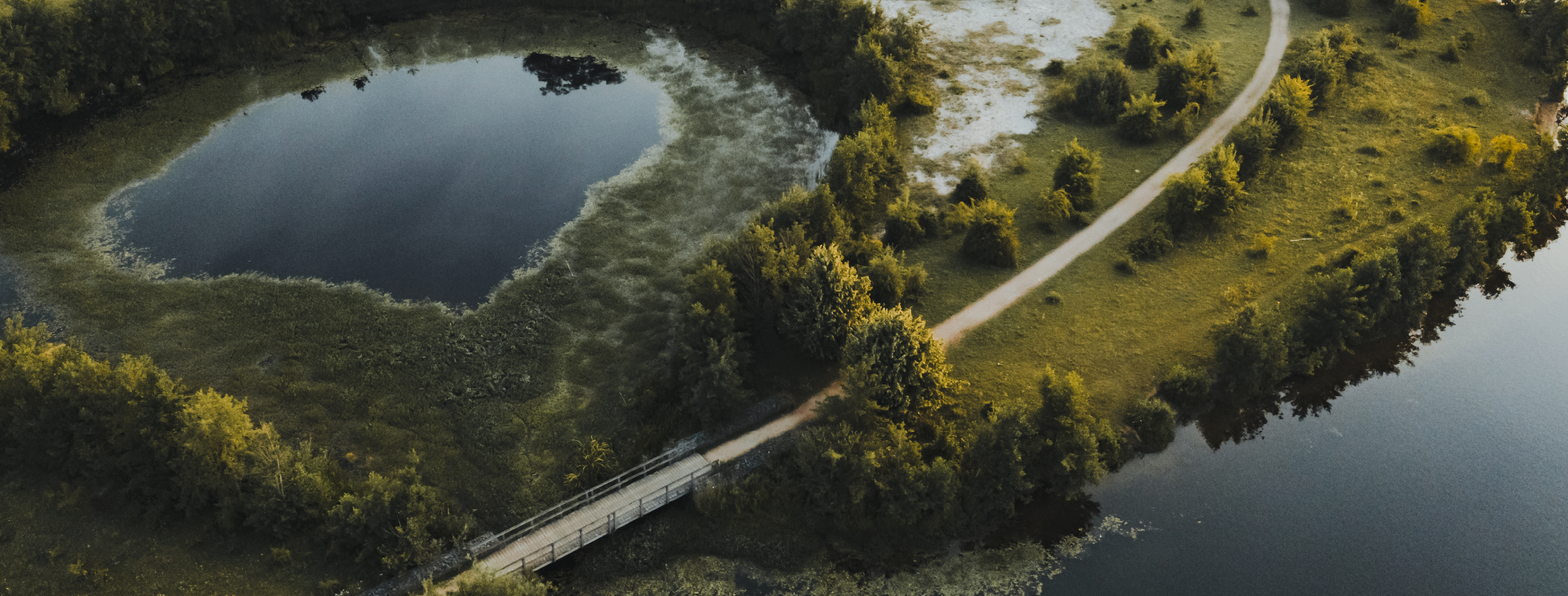 Luchtfoto van een groen natuurgebied met een kronkelend wandelpad, een houten brug en een ronde waterplas omgeven door begroeiing. Rechts stroomt een grotere waterpartij. De opname is gemaakt bij laagstaande zon, wat zorgt voor warme, zachte schaduwen.