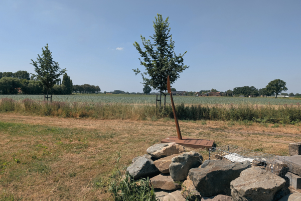 Archeo Locatie Kasteel Ensenbroek