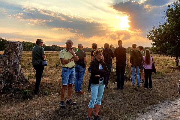 Group listens to guide and looks intently at beautiful nature during golden hour in NP De Meinweg