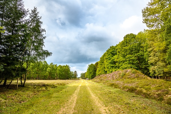 Onverhard pad door het natuurgebied Maas-Swalm-Nette