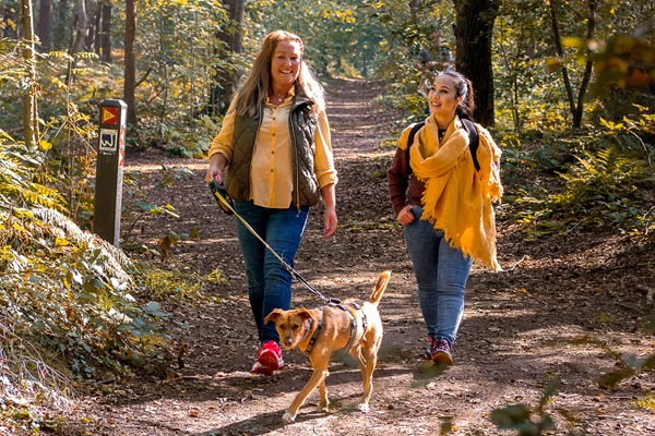 Twee vrouwen wandelen met de hond