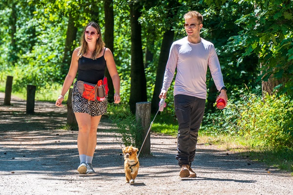 Stel wandelt met de hond door het natuur- en recreatiegebied De IJzeren Man