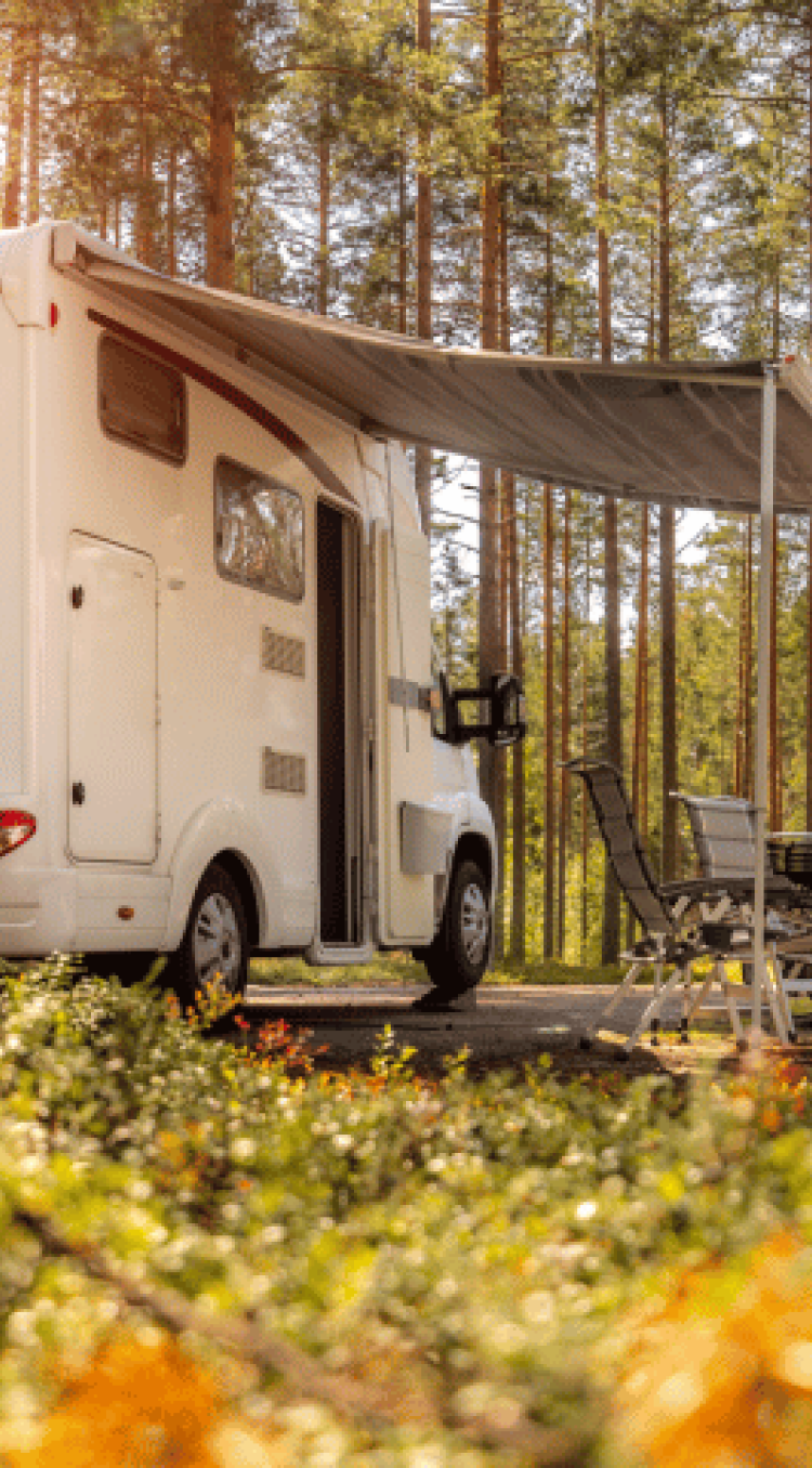 Campertocht bijzondere vrouwen hart van Limburg 