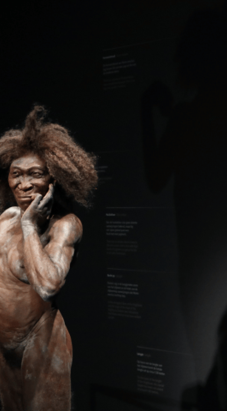 De Wereldberoemde Limburger Die Bijna Niemand Kent 480x480