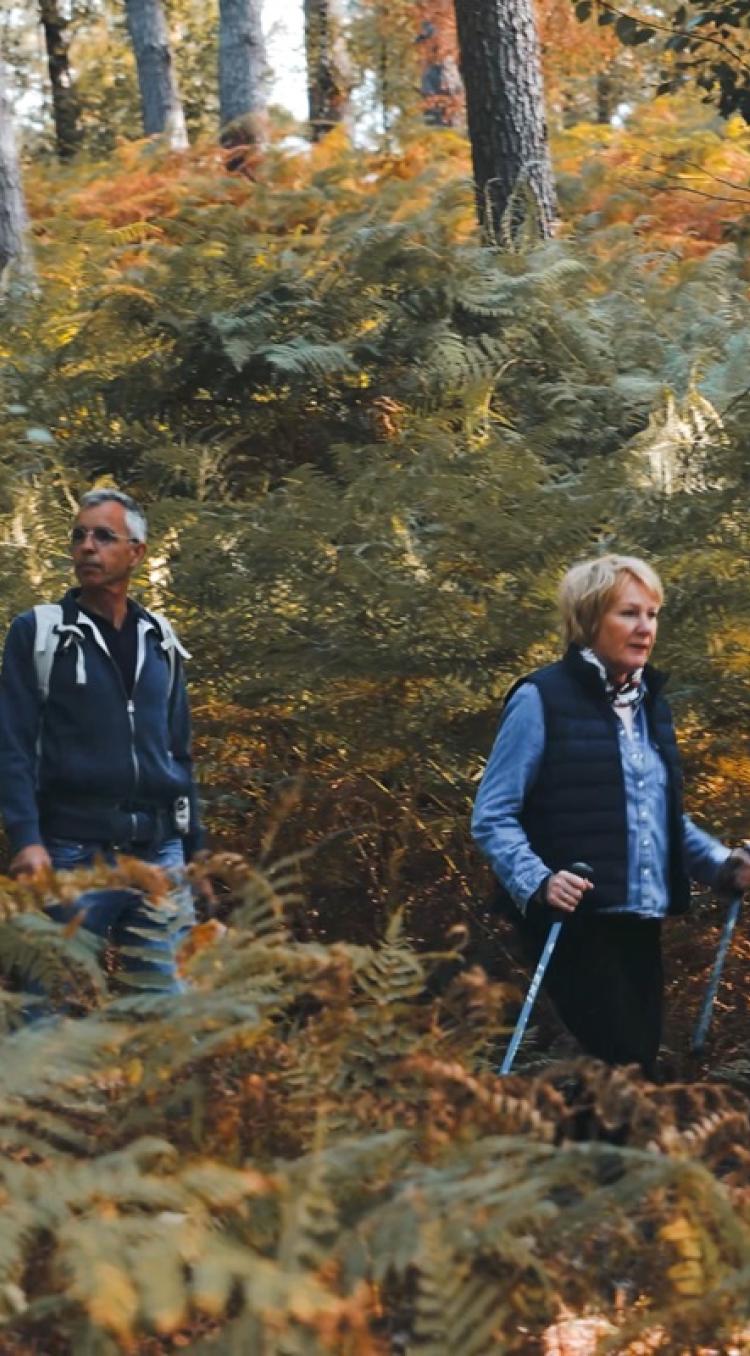 Twee wandelaars lopen met wandelstokken door een bos met varens en herfstkleuren.