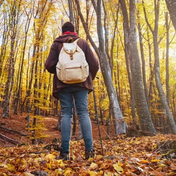 Vrouw met rugzak wandelt door het bos in de herfst in Limburg